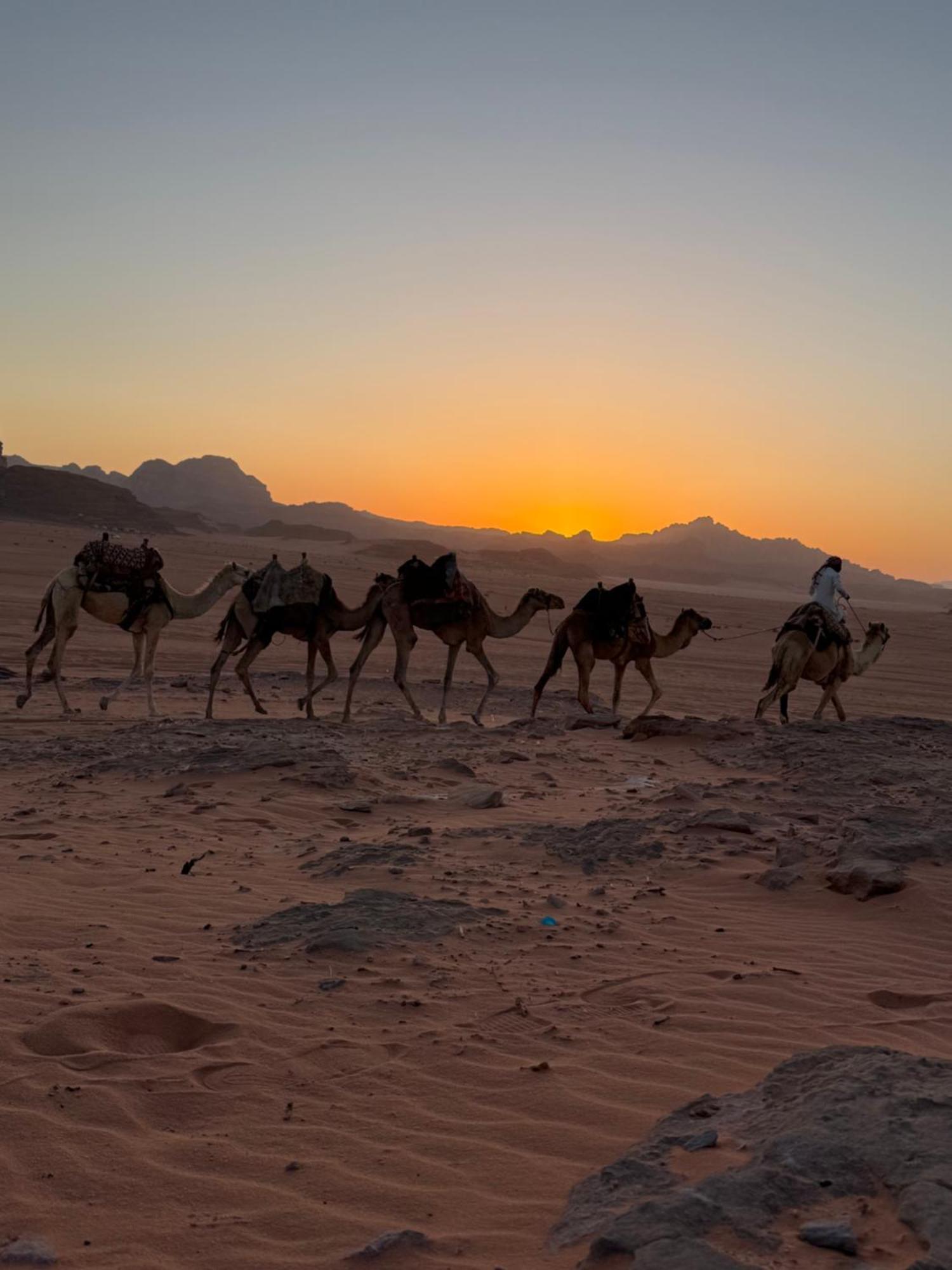 Faisal Wadi Rum Camp Экстерьер фото
